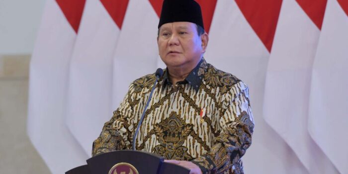 20241210-dipa-2-1024x682