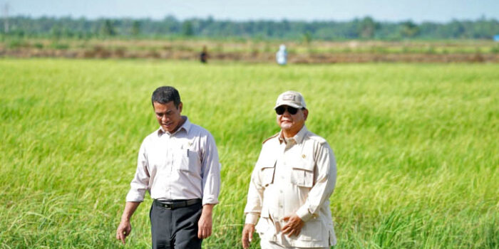 Indonesia Siap Perkuat Posisi di Pangan Global